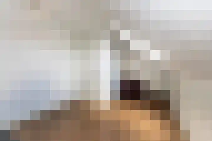 Kleine Klaver 20 Overasselt thumbnail 21