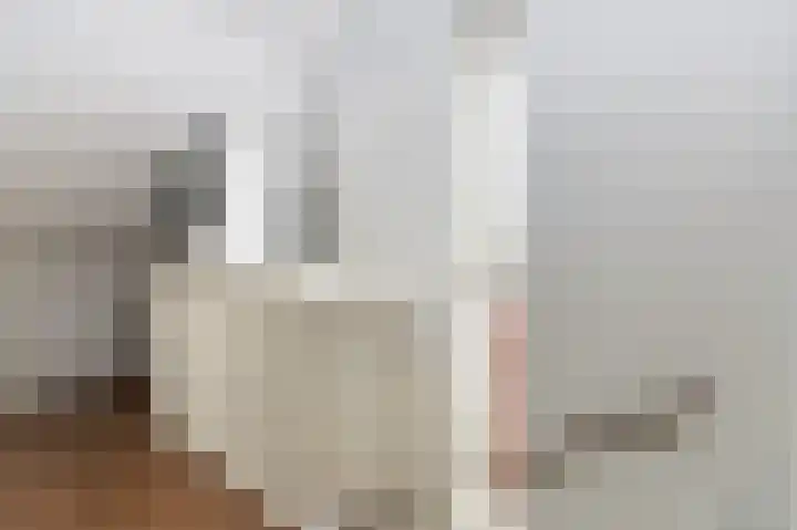 Kleine Klaver 20 Overasselt thumbnail 23