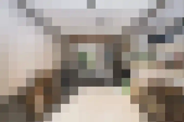 Kleine Klaver 20 Overasselt thumbnail 24