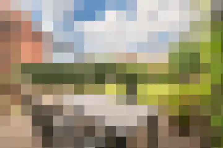 Kleine Klaver 20 Overasselt thumbnail 26