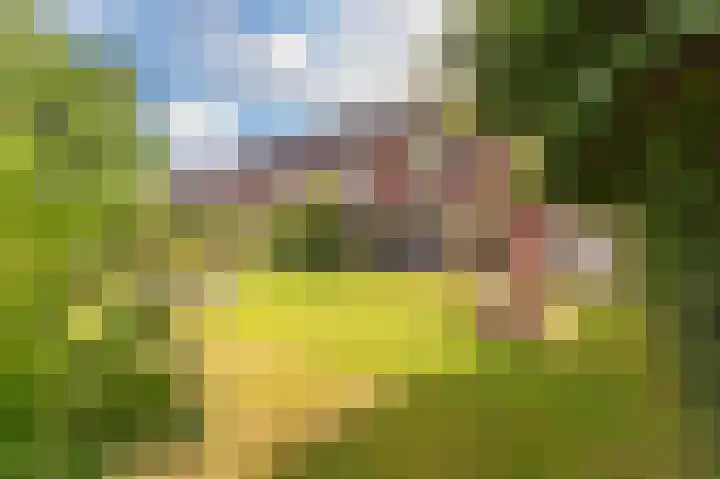 Kleine Klaver 20 Overasselt thumbnail 28