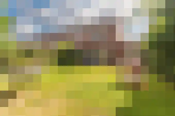 Kleine Klaver 20 Overasselt thumbnail 29