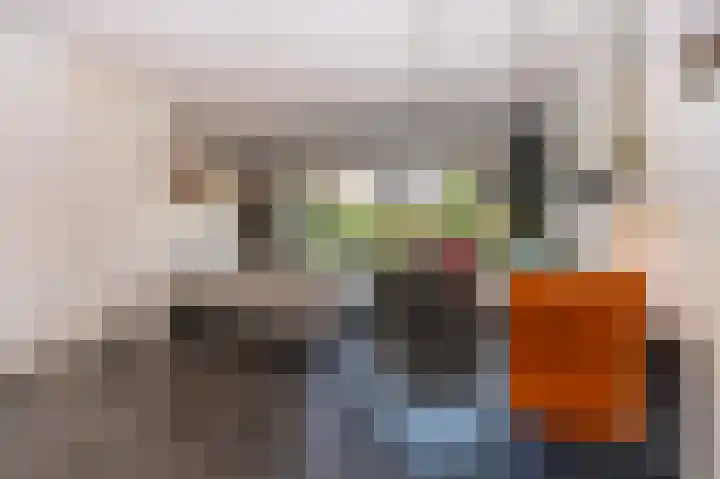 Kleine Klaver 20 Overasselt foto 3