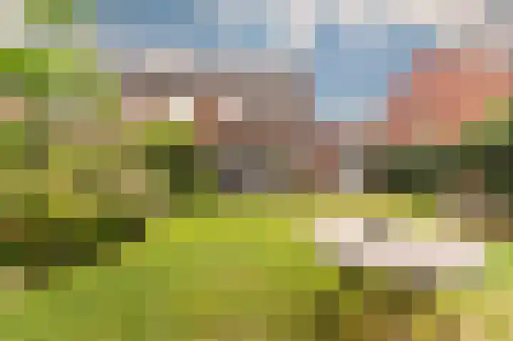 Kleine Klaver 20 Overasselt thumbnail 30