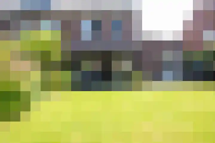 Kleine Klaver 20 Overasselt thumbnail 32