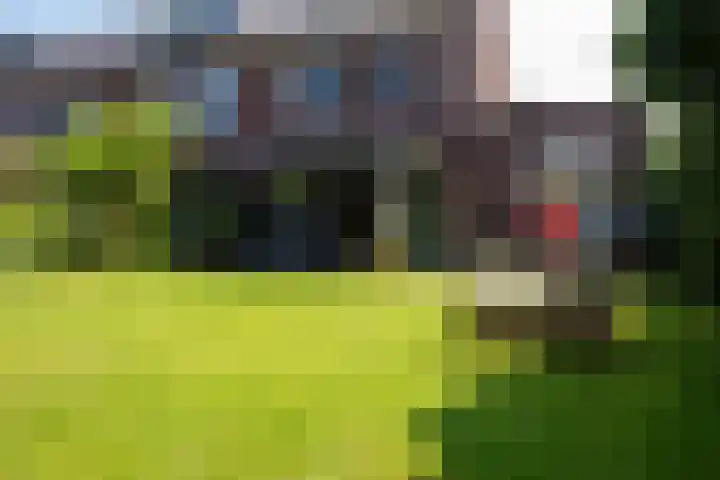 Kleine Klaver 20 Overasselt thumbnail 33