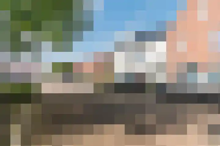 Kleine Klaver 20 Overasselt thumbnail 37