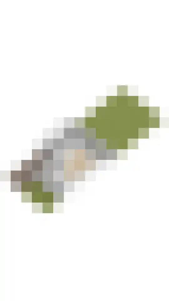Kleine Klaver 20 Overasselt thumbnail 41