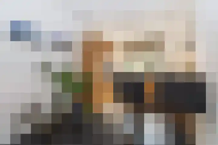 Kleine Klaver 20 Overasselt thumbnail 6
