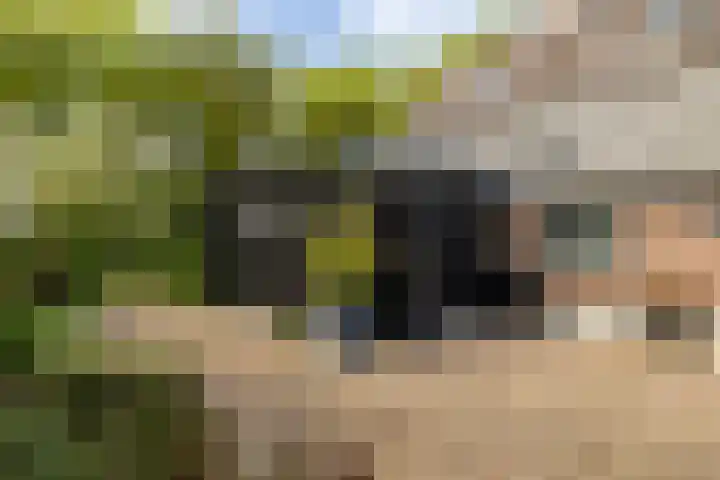 Kleine Kolonieweg 33 Elspeet thumbnail 11