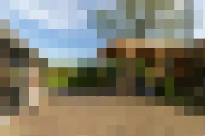 Kleine Kolonieweg 33 Elspeet thumbnail 12