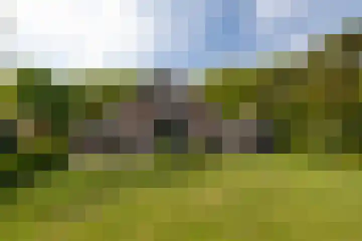 Kleine Kolonieweg 33 Elspeet thumbnail 13