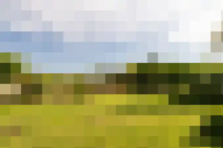 Kleine Kolonieweg 33 Elspeet thumbnail 14