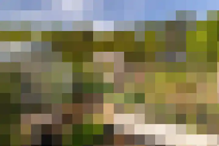Kleine Kolonieweg 33 Elspeet thumbnail 16