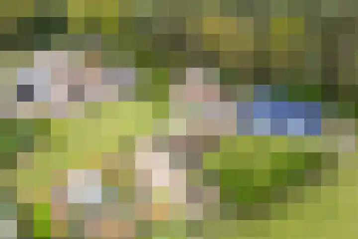 Kleine Kolonieweg 33 Elspeet thumbnail 17