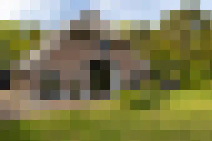 Kleine Kolonieweg 33 Elspeet thumbnail 18