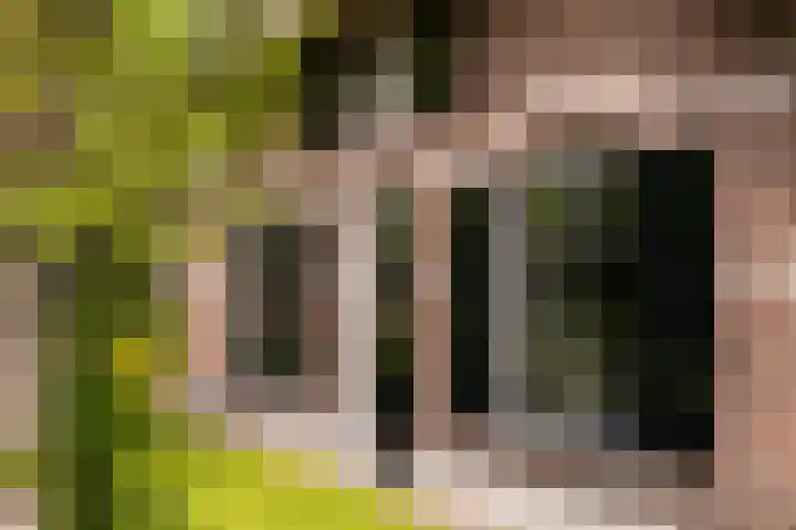 Kleine Kolonieweg 33 Elspeet thumbnail 19