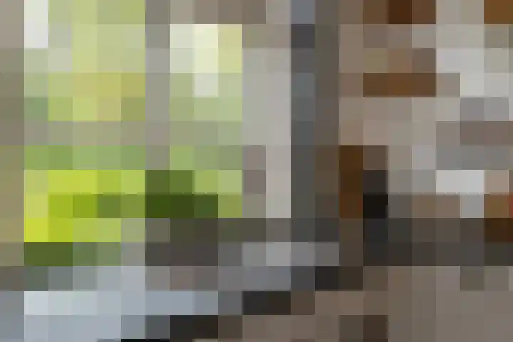 Kleine Kolonieweg 33 Elspeet thumbnail 25