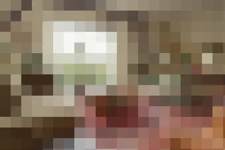 Kleine Kolonieweg 33 Elspeet thumbnail 27