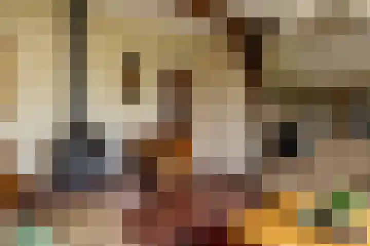 Kleine Kolonieweg 33 Elspeet thumbnail 31