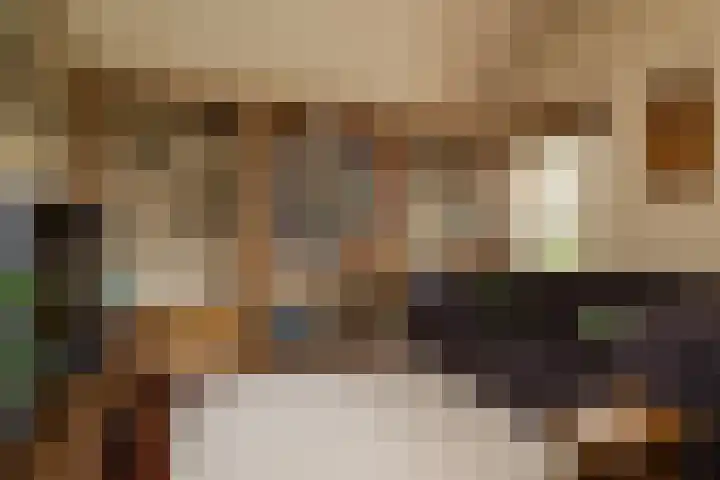 Kleine Kolonieweg 33 Elspeet thumbnail 32