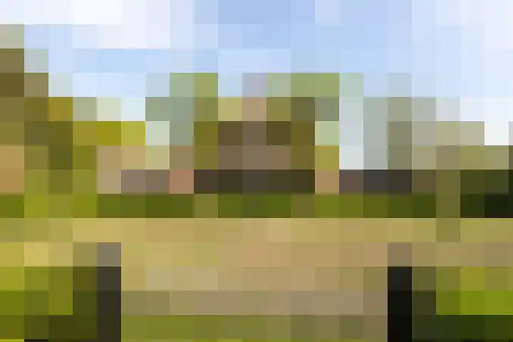 Kleine Kolonieweg 33 Elspeet thumbnail 4