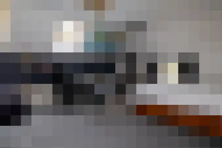 Kleine Kolonieweg 33 Elspeet thumbnail 43