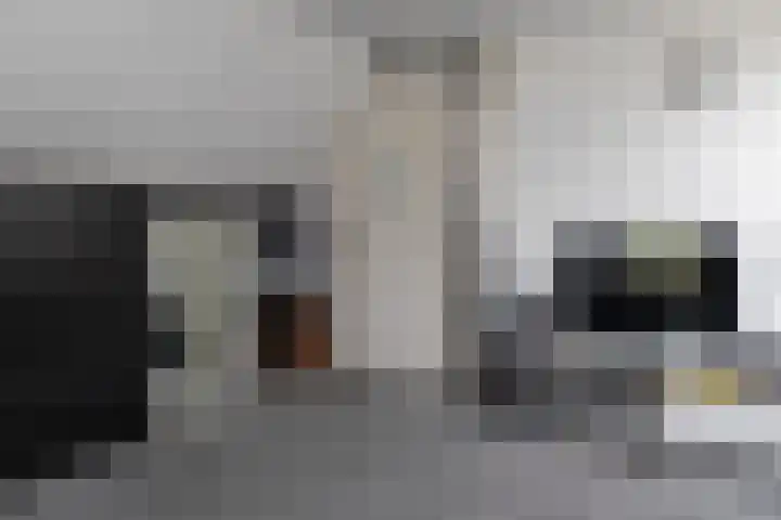 Kleine Kolonieweg 33 Elspeet thumbnail 44