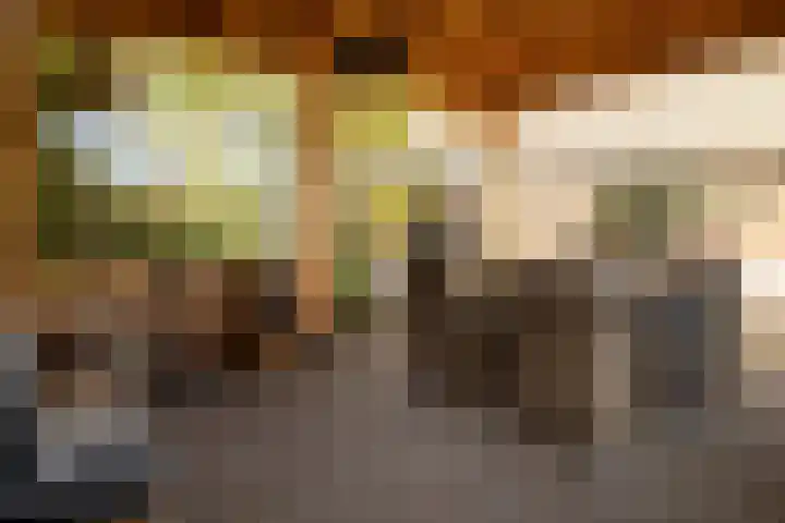 Kleine Kolonieweg 33 Elspeet thumbnail 52