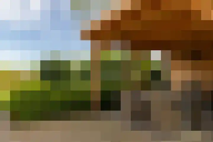Kleine Kolonieweg 33 Elspeet thumbnail 53