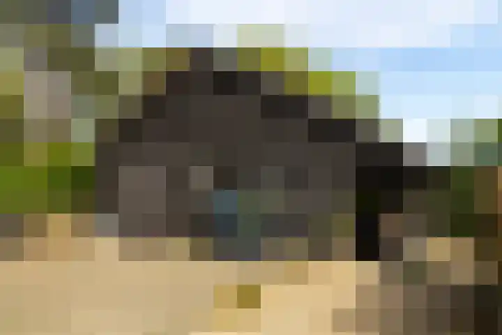 Kleine Kolonieweg 33 Elspeet thumbnail 54