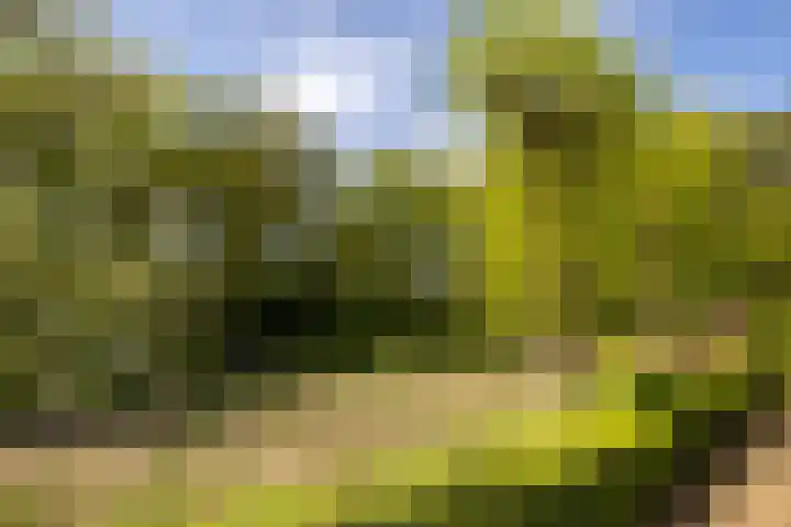 Kleine Kolonieweg 33 Elspeet thumbnail 57