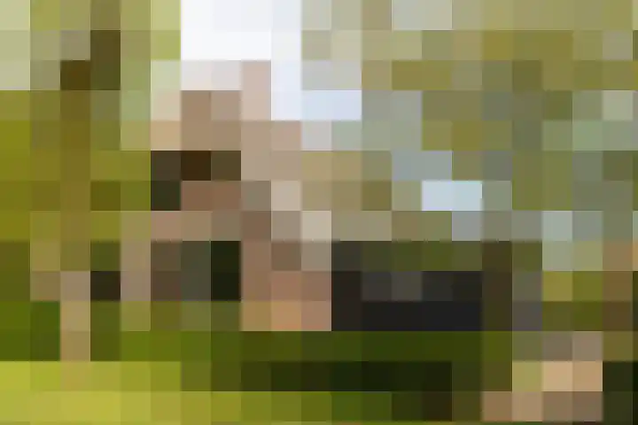 Kleine Kolonieweg 33 Elspeet thumbnail 6