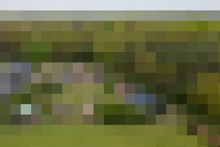 Kleine Kolonieweg 33 Elspeet thumbnail 8