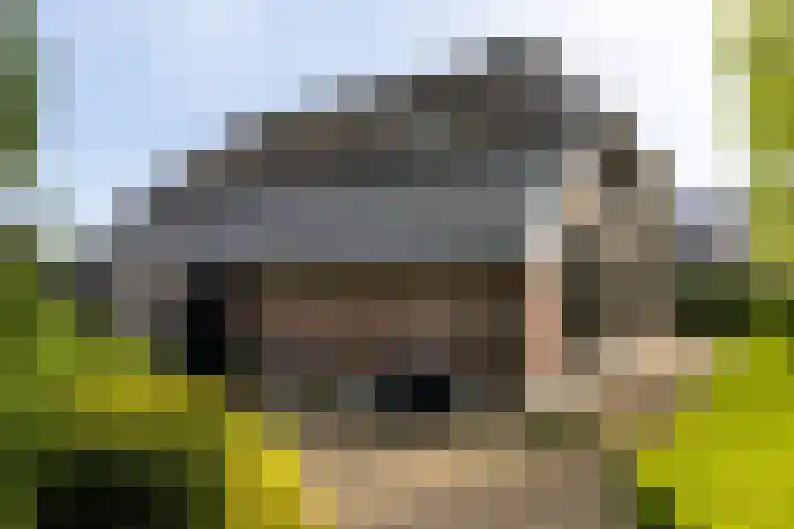 Kleine Kolonieweg 33 Elspeet thumbnail 9