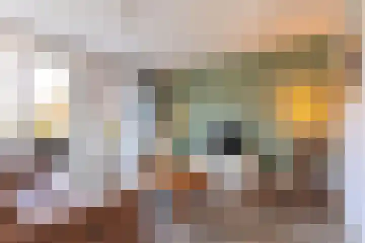 Kleine Kosterij 2 Venhuizen thumbnail 13