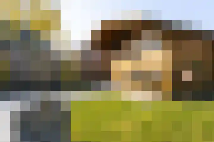 Kleine Kosterij 2 Venhuizen thumbnail 18