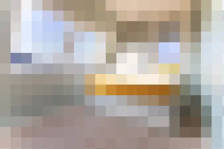 Kleine Kosterij 2 Venhuizen thumbnail 28