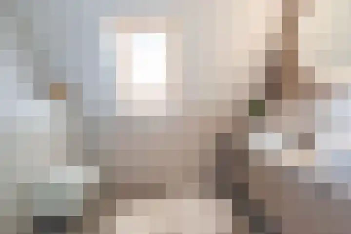 Kleine Kosterij 2 Venhuizen thumbnail 32
