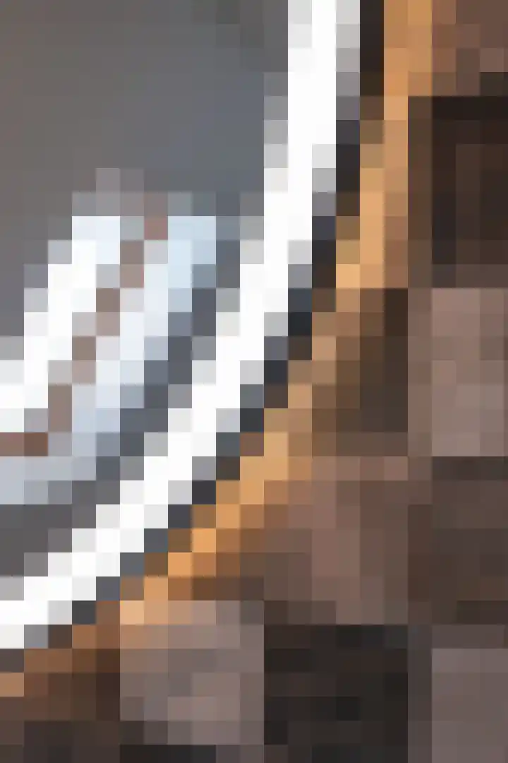 Kleine Kosterij 2 Venhuizen thumbnail 36