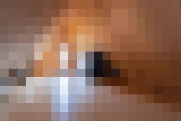 Kleine Kosterij 2 Venhuizen thumbnail 38