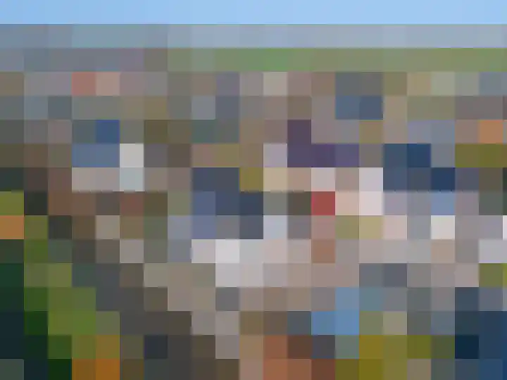 Kleine Kosterij 2 Venhuizen thumbnail 41