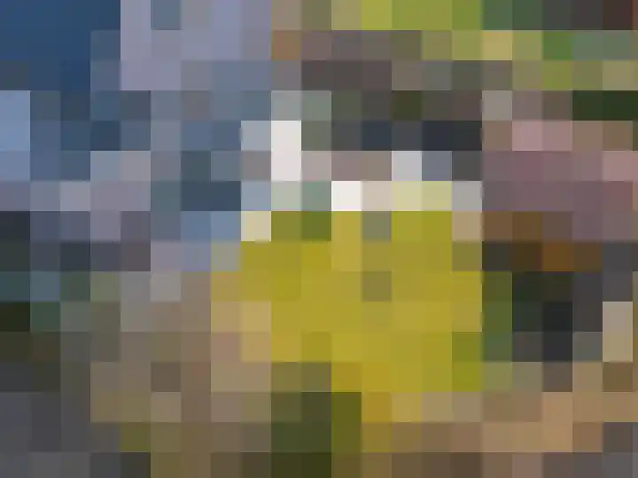 Kleine Kosterij 2 Venhuizen thumbnail 42