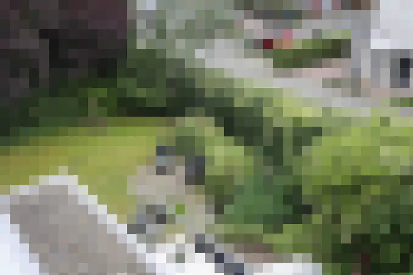Kleine Kreek 24 Amersfoort thumbnail 24