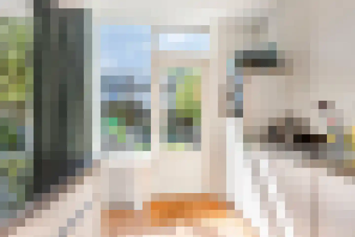 Kleine Kreek 54 Rotterdam thumbnail 16