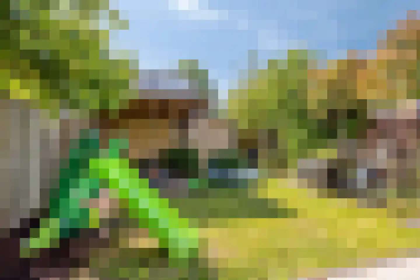 Kleine Kreek 54 Rotterdam thumbnail 32