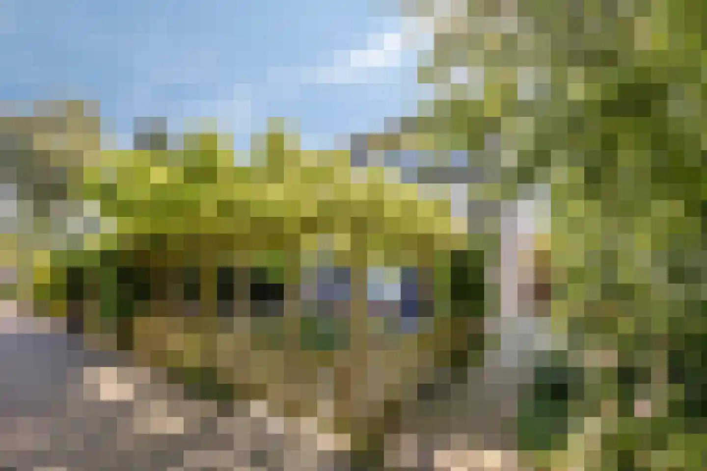 Kleine Kreek 54 Rotterdam thumbnail 40