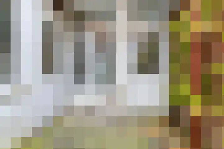 Kleine Leliestraat 21 Groningen thumbnail 23