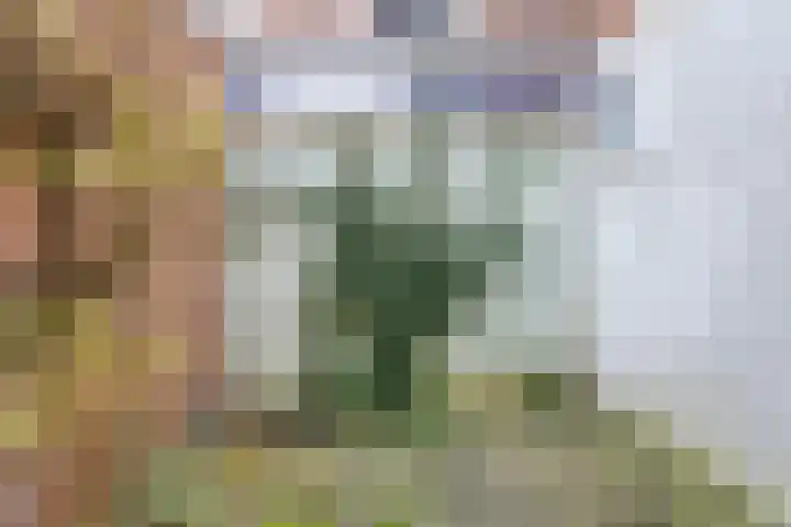 Kleine Leliestraat 21 Groningen thumbnail 5