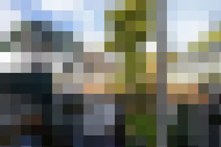 Kleine Leliestraat 27 Groningen thumbnail 11